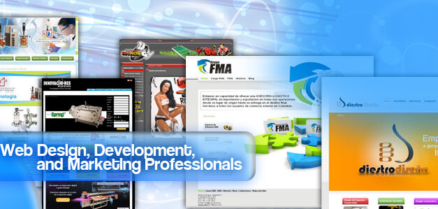 Web Design, Developement and Marketing Professionals